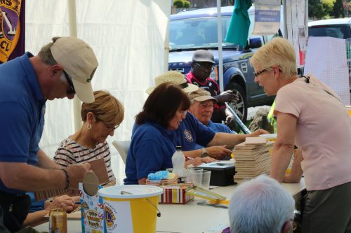 A busy Lion's gazebo